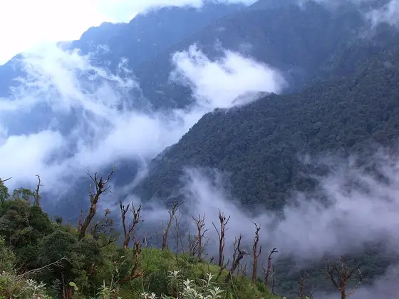Hoang Lien National Park (Vườn quốc gia Hoàng Liên)